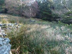 
Ysgubor Wen, Nant Gwyddon Valley, Abercarn, November 2011